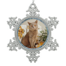 Chat de frontière d'étincelle et ornement bleus de