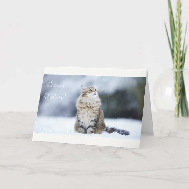 Chat de la carte de Noël Joyeuses Fêtes (Devant)