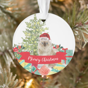 Chat de Noël de Meowy