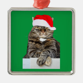 Chat de Noël Humbug Photo Premium Carré Ornement