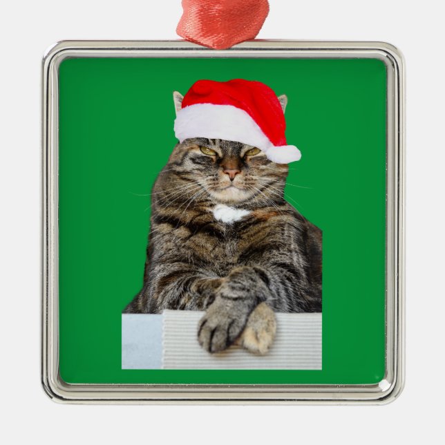 Chat de Noël Humbug Photo Premium Carré Ornement (Devant)