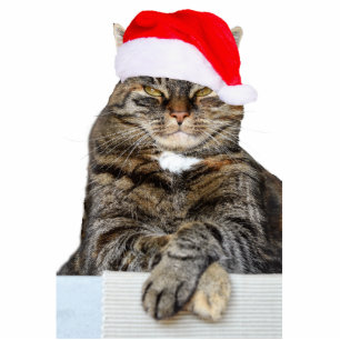 Chat de Noël Humbug Photo Sculpture Ornement