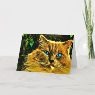 Chat de poupée, carte