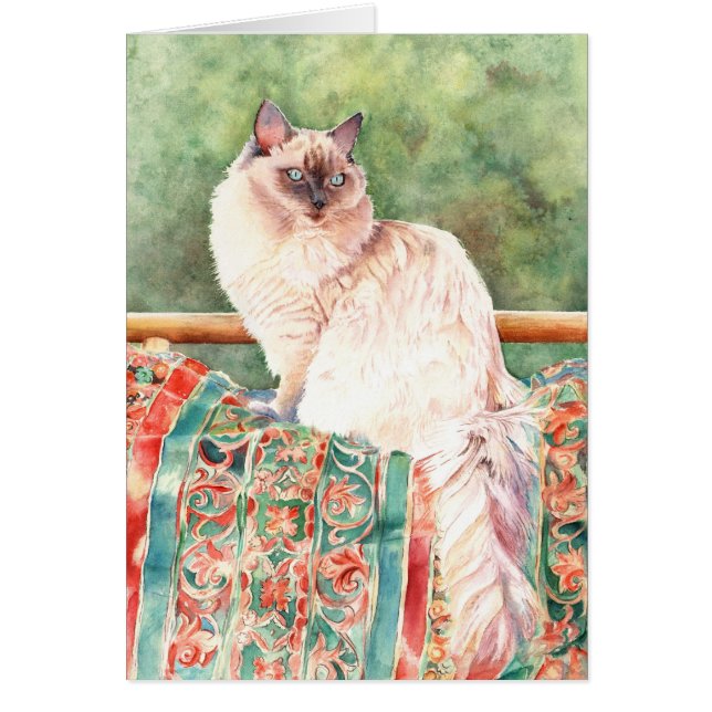 Chat de "Ragdoll" (Devant)