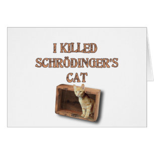 chat de schrodinger