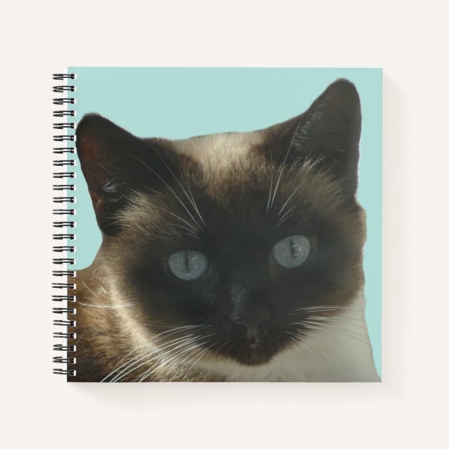 Chat de Siamese avec Carnet Bleu clair yeux (Devant)