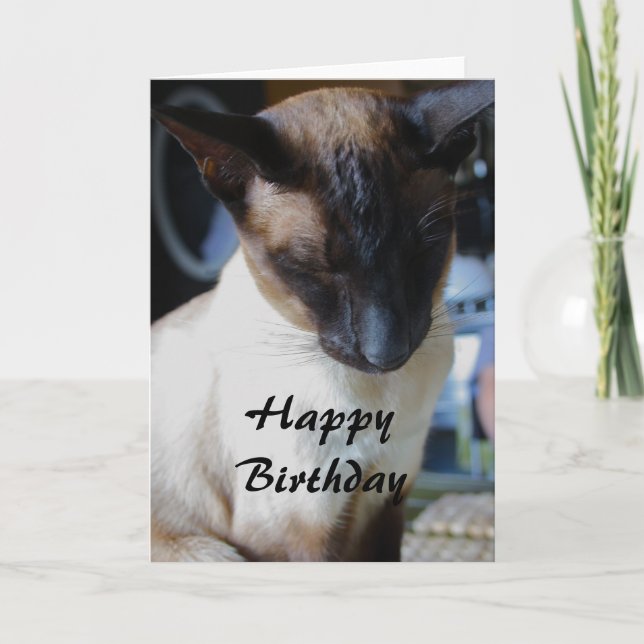 Chat de Siamese Bonne carte d'anniversaire (Devant)