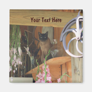 Chat de Siamese Poster de la photo d'animal Magnet