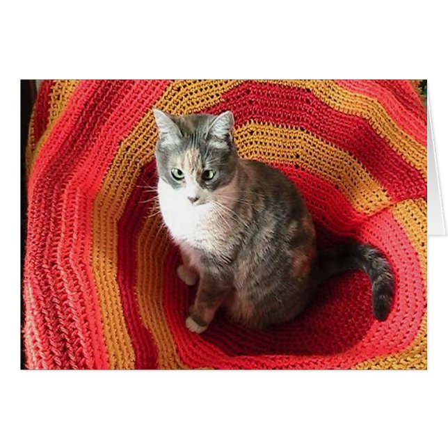 Chat de voeux d'anniversaire sur la carte de couve (Devant horizontal)