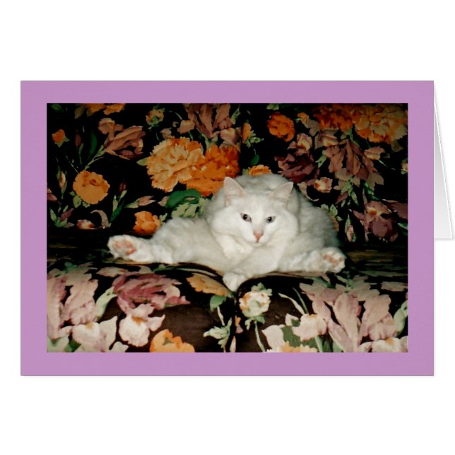 Chat de yoga (Devant horizontal)