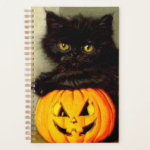 Chat d'Halloween vintage et lanterne Jack-o’