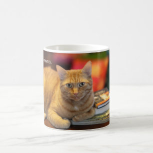 Chat d'orange de tasse