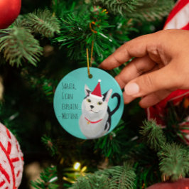 Chat drôle dans Santa Hat Personnalisé