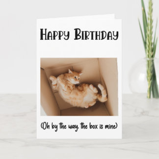 Chat Drôle Dans Une Boîte Carte De Voeux Anniversa