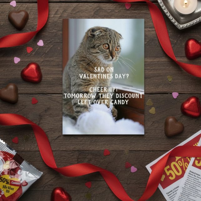 Chat drôle Valentine's Day Mème célibataire (Créateur téléchargé)