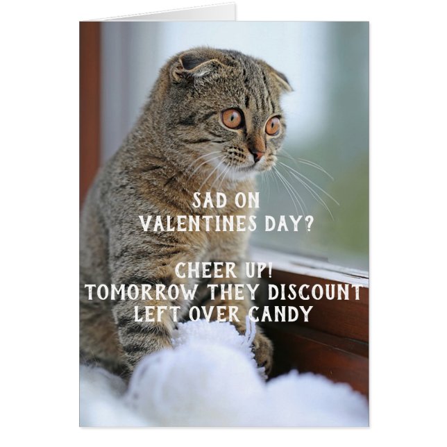 Chat drôle Valentine's Day Mème célibataire (Devant)
