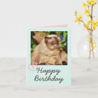 Chat drôle vintage et bonne carte d'anniversaire