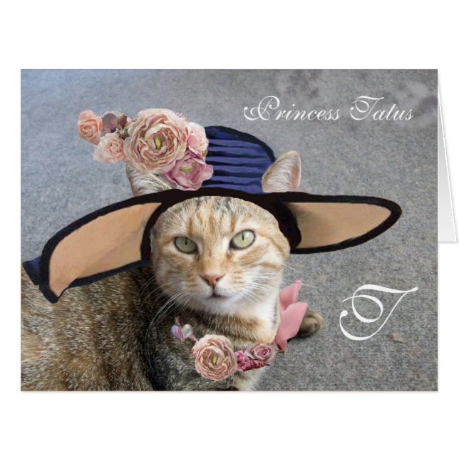 CHAT ÉLÉGANT AVEC GRAND CASQUETTE DIVA, ROSES ROSE (Devant horizontal)