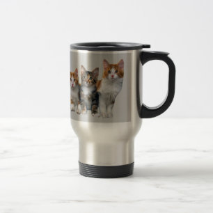 Chat en dehors de la tasse de boîte