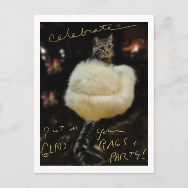 Chat en fourrure Manteau "Celebrate" carte postale (Devant)
