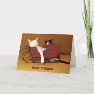 Chat en Humour de traîneau Carte de Noël