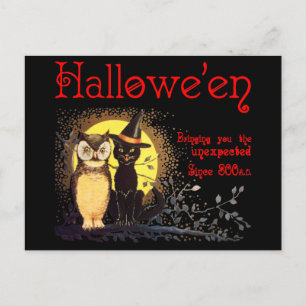 Chat et hibou en Vintage Halloween Carte postale