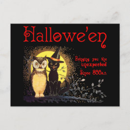 Chat et hibou en Vintage Halloween Carte postale