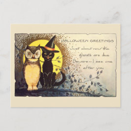 Chat et hibou en Vintage Halloween Carte postale