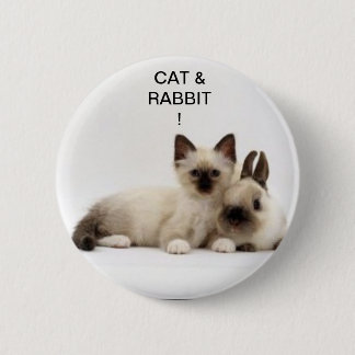 chat et lapin / cat and rabbit siamois ! badge !