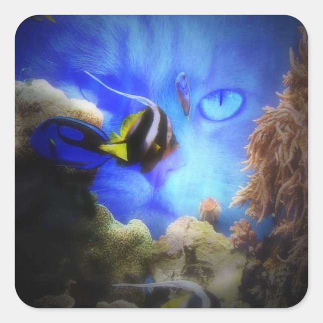 Chat et poisson mignonne et drôle Sticker (Devant)