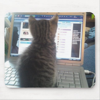 Chat et tapis de souris