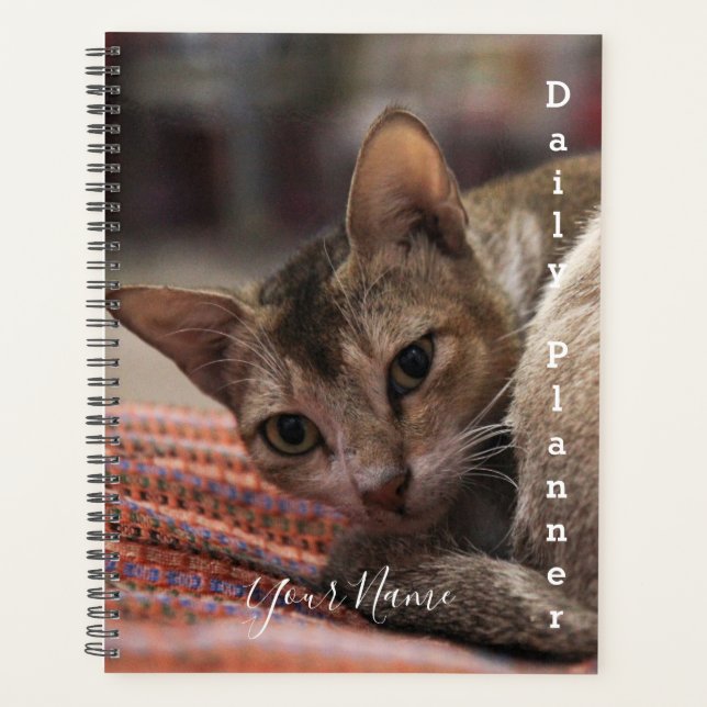 Chat exotique - Planificateur quotidien - HAMbWG (Devant)