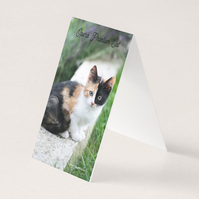 Chat fantôme de l'Opéra (Back)