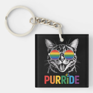 Chat Fierté Gay Lesbienne Arc-en-ciel LGBTQ Allié 