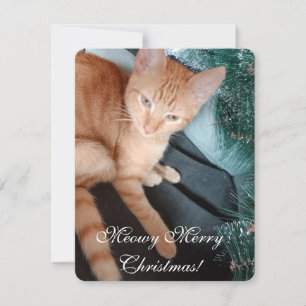 Chat Foto Text, Make your own, Christmas Card Karte