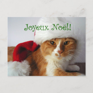 Chat français de salutation en carte postale de