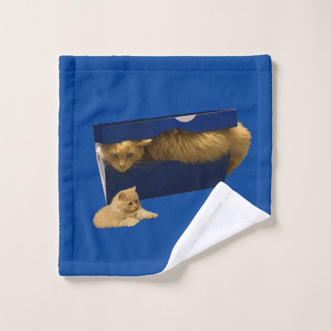 Chat Gingembre Drôle Dans Une Boîte À Chaussure, L (Gant de toilette)