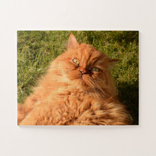 CHAT GINGER PERSIAN JIGSAW PUZZLE