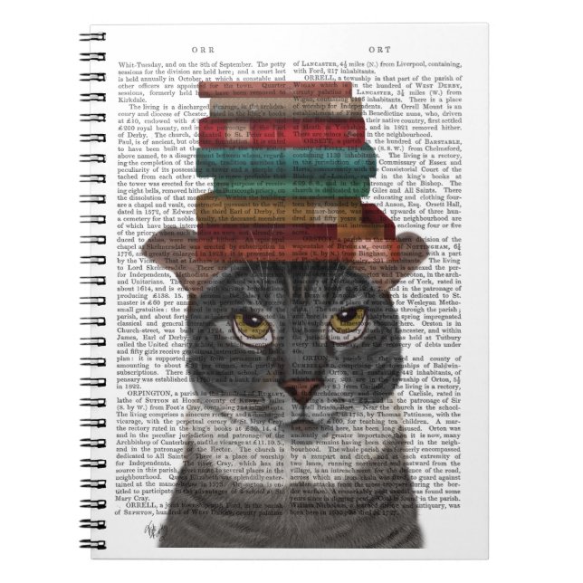 Chat gris avec des livres sur la tête (Devant)