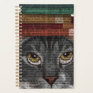 Chat gris avec des livres sur la tête