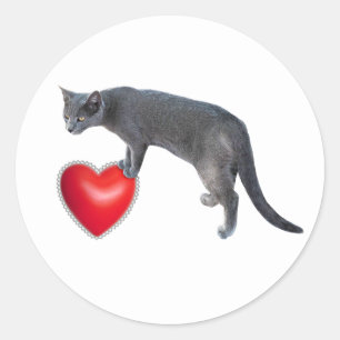 Chat gris avec Stickers Coeur Rouge