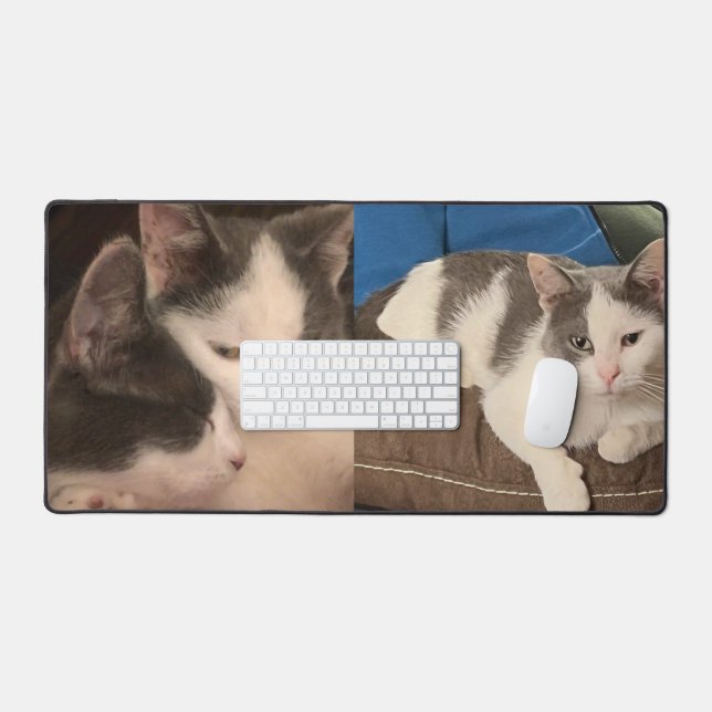 "Chat gris et blanc" (Clavier et souris)