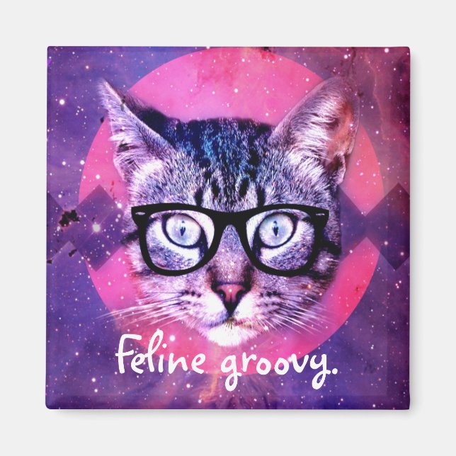 Chat Groovy Magnet (Devant)
