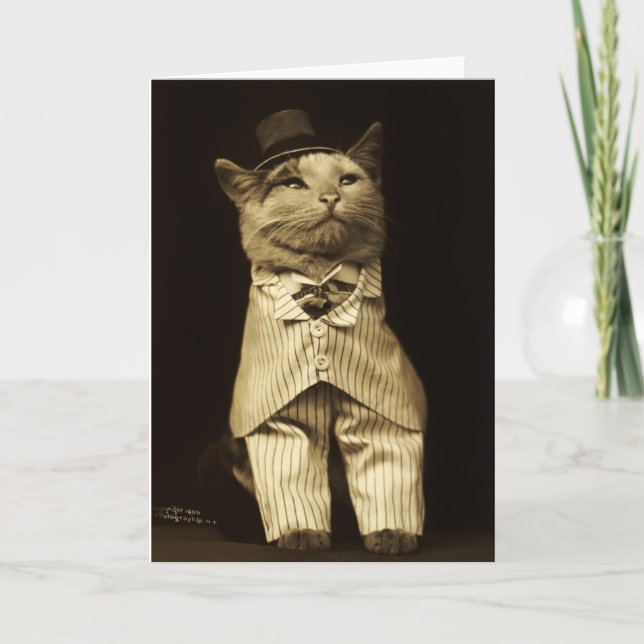 Chat habillé à partir de la carte de voeux Vintage (Devant)