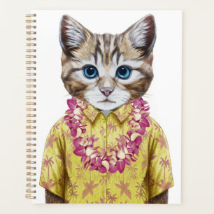 Chat Hawaïen Kitty