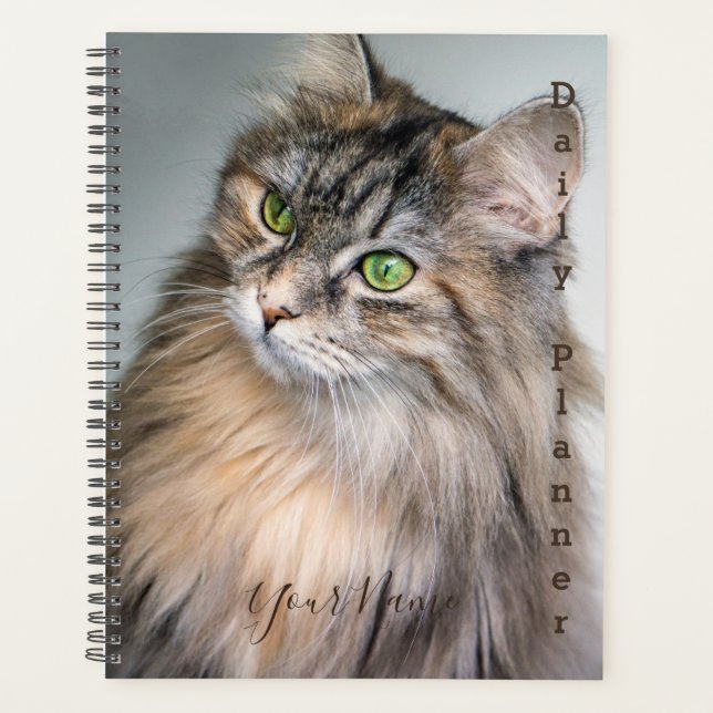 Chat Himalayan - Planificateur quotidien - HAMbWG (Devant)