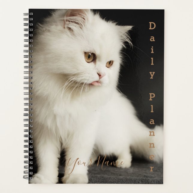Chat Himalayan - Planificateur quotidien - HAMbWG (Devant)