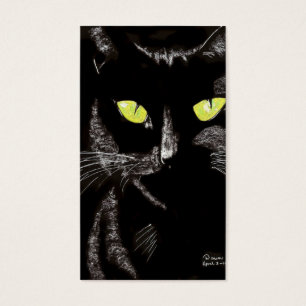 chat impertinent