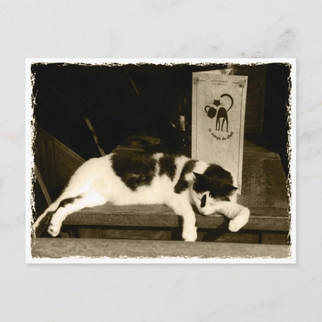 Chat in einem Restaurant in der Nähe von Speisekar Postkarte (Vorderseite)