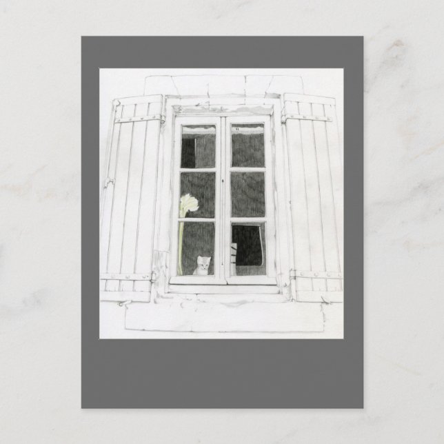Chat in Window Postcard Postkarte (Vorderseite)